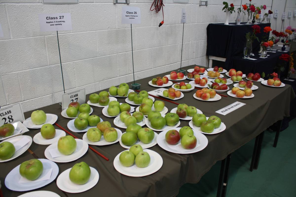 ../Images/Horticultural Show in Bunclody 2014--9.jpg
